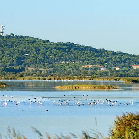 La Palme D'or-21 By Interhome Lejlighed